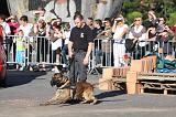ARRESTATION POLICE 050